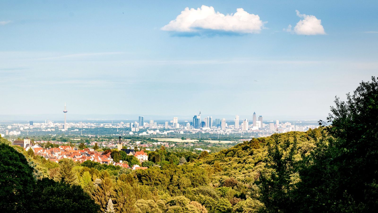 Skyline Frankfurt - Blumenauer